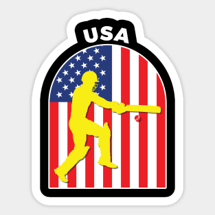 USA Cricket Batsman American Flag Sticker